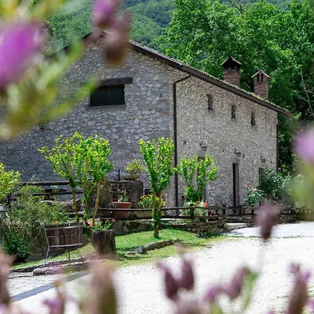 La Ferrera